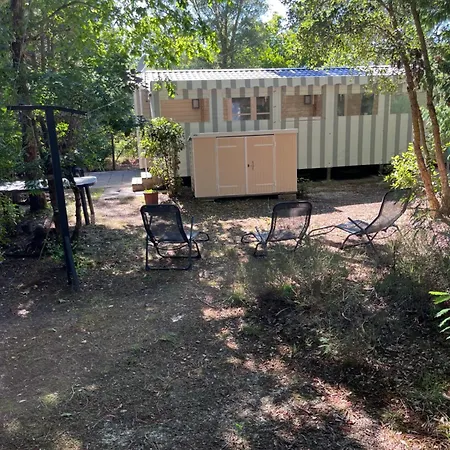Mobilhome 6 Personnes, Vue Foret * Saint-Julien-en-Born